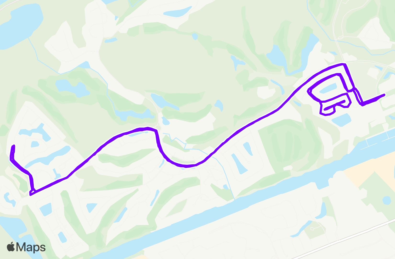 Run training