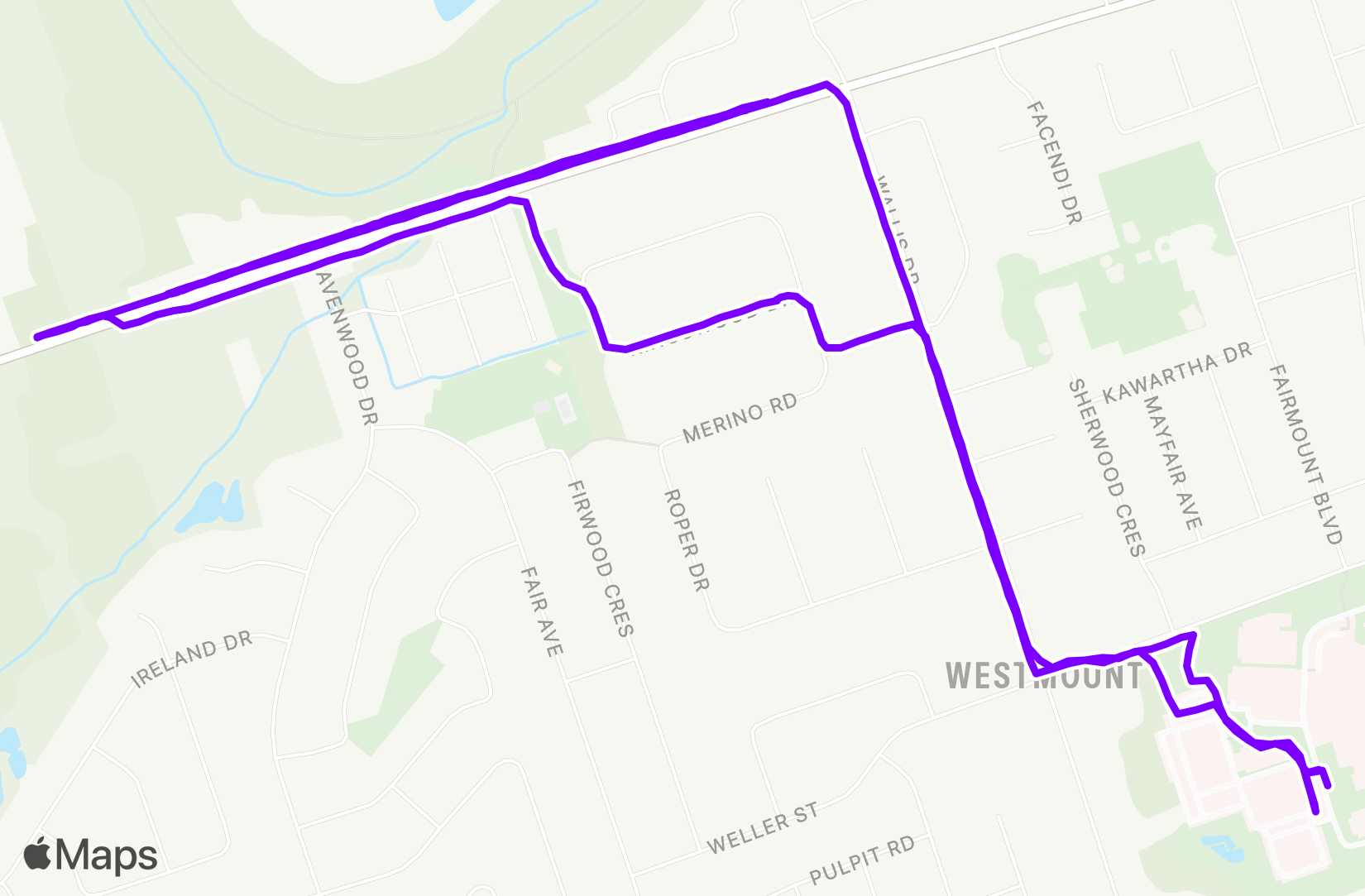 Run training