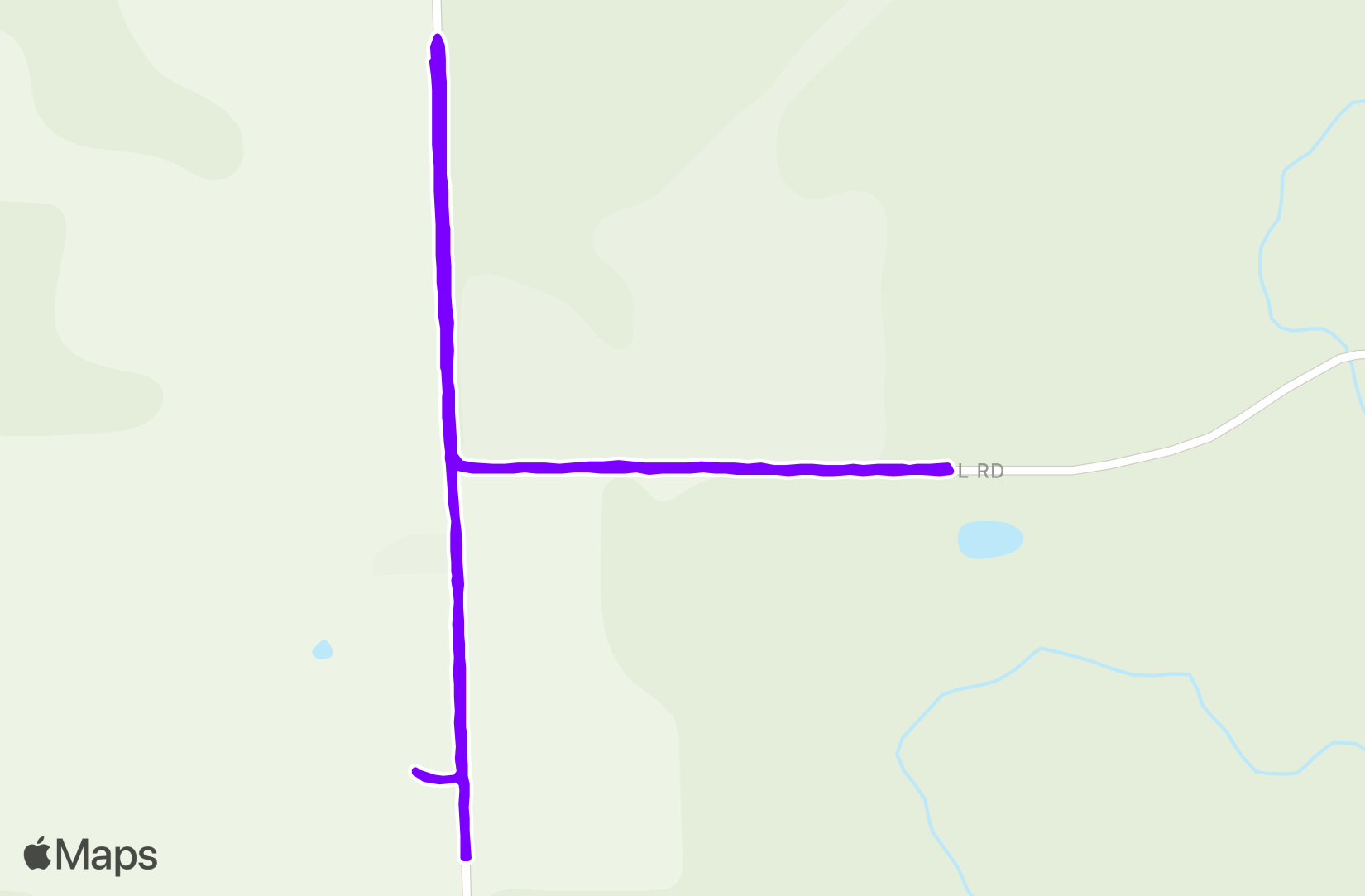 Walk training