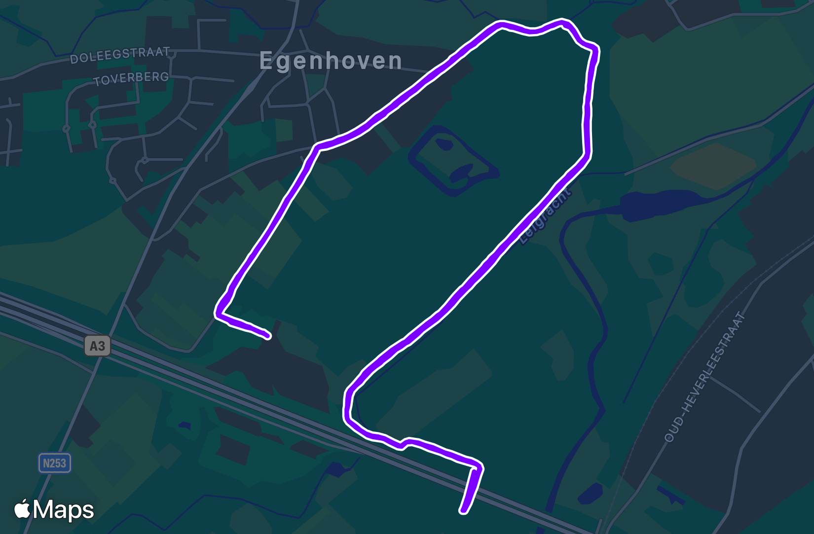 Run training