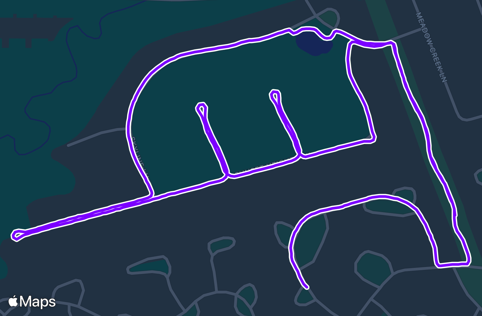 Run training