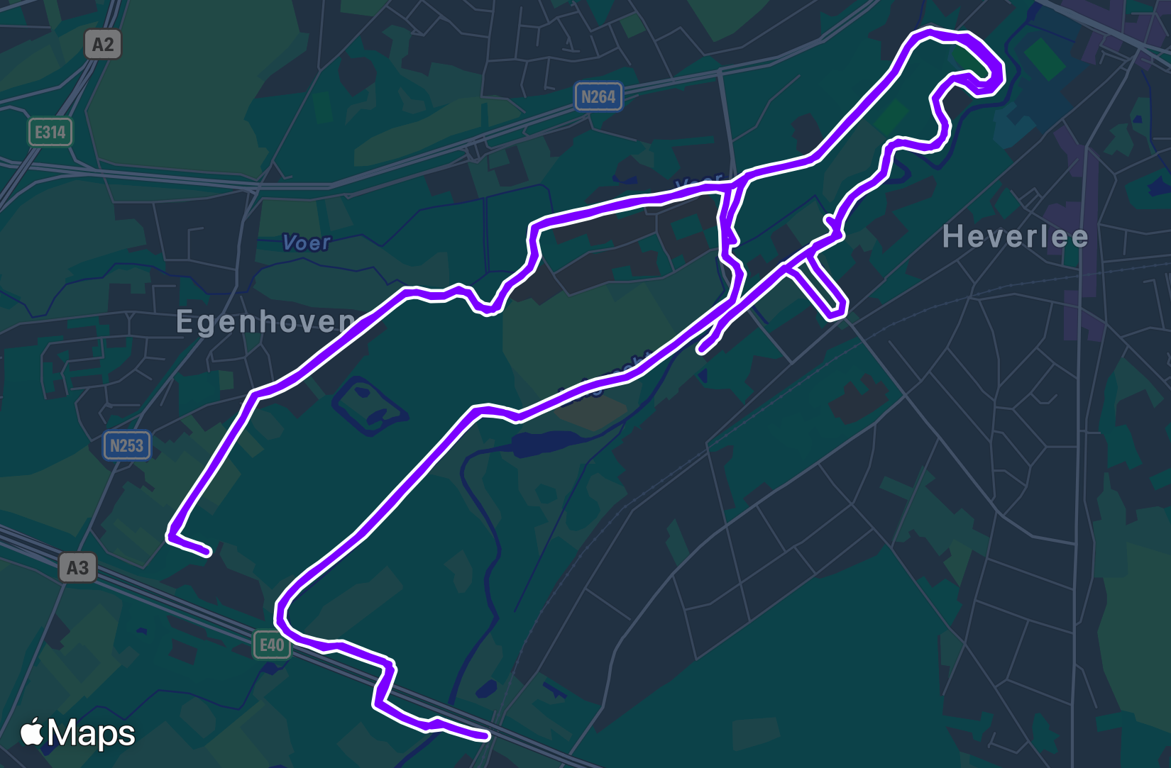 Run training