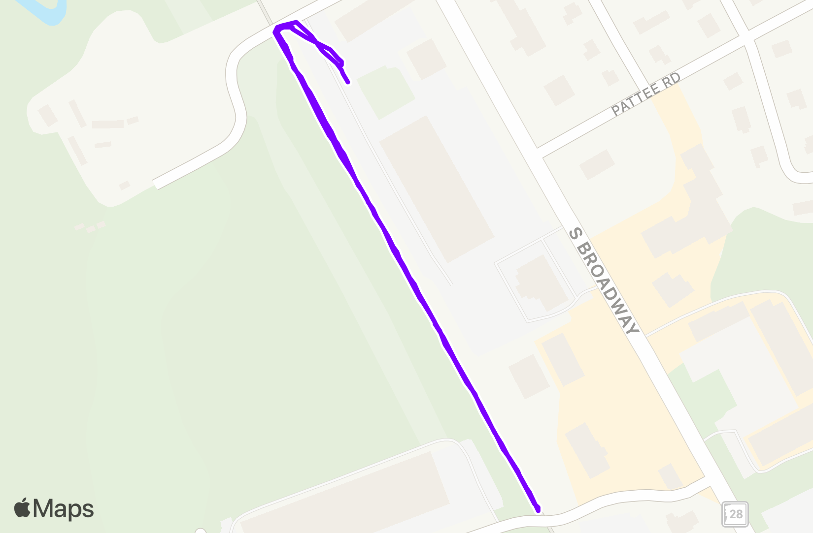 Walk training