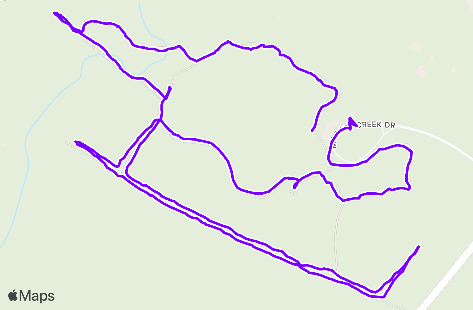 Run training