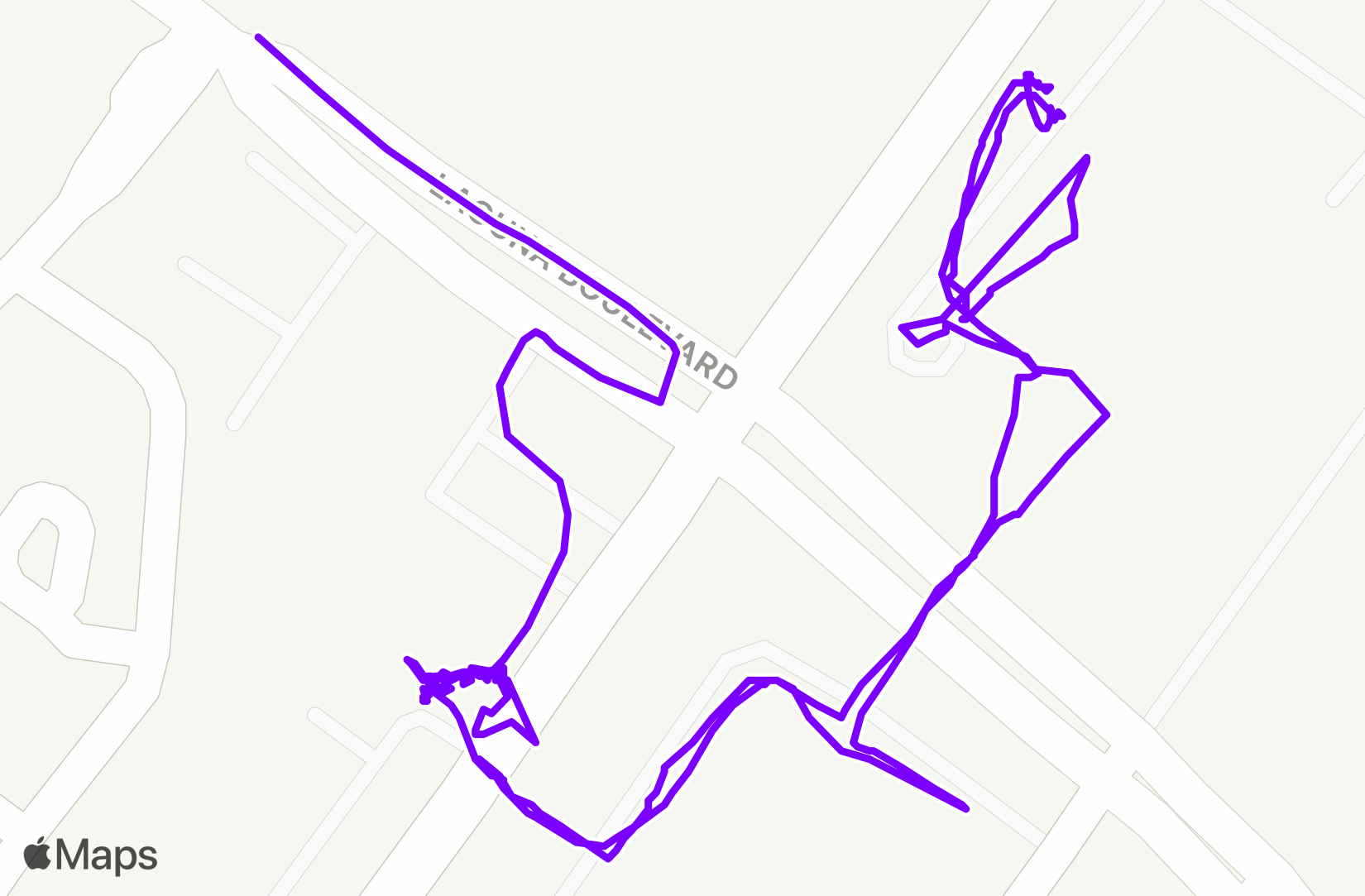 Walk training