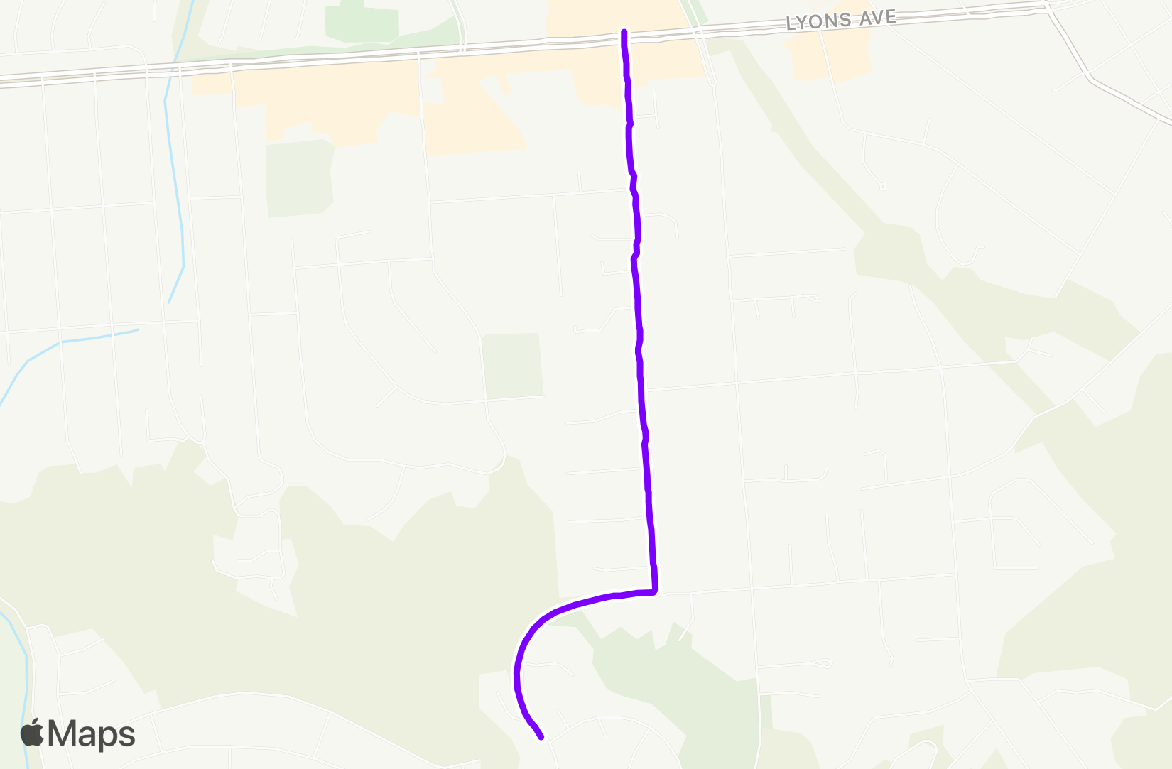 Walk training