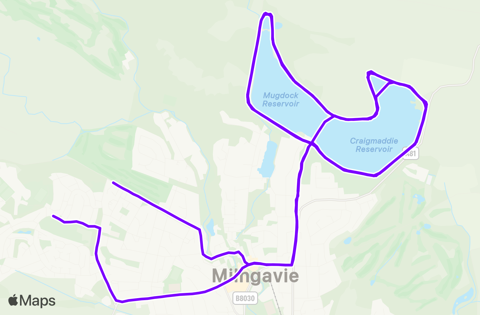 Run training