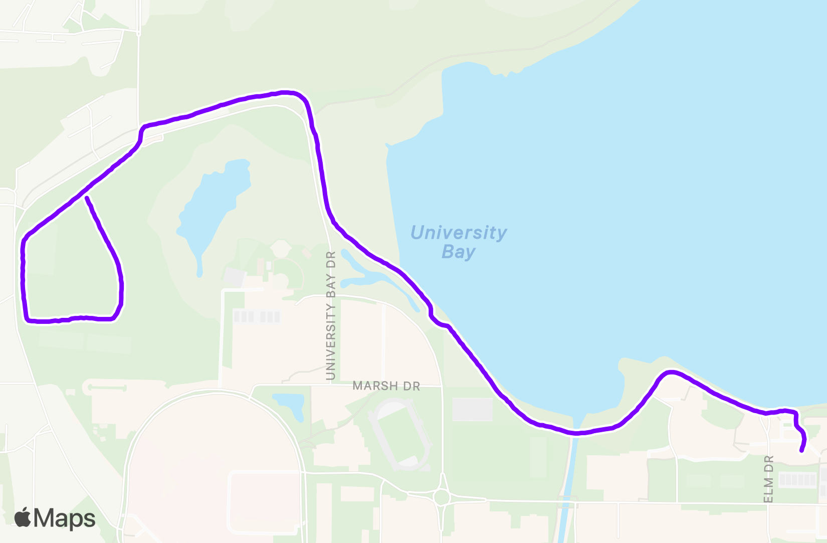 Run training