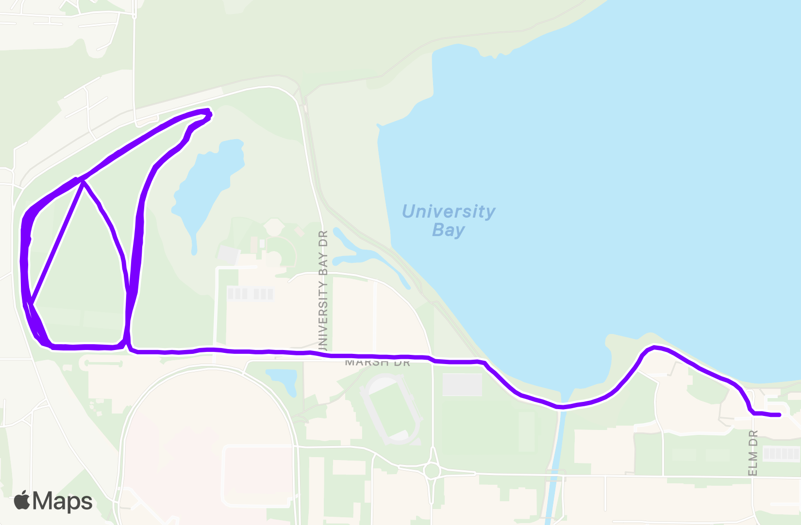 Run training