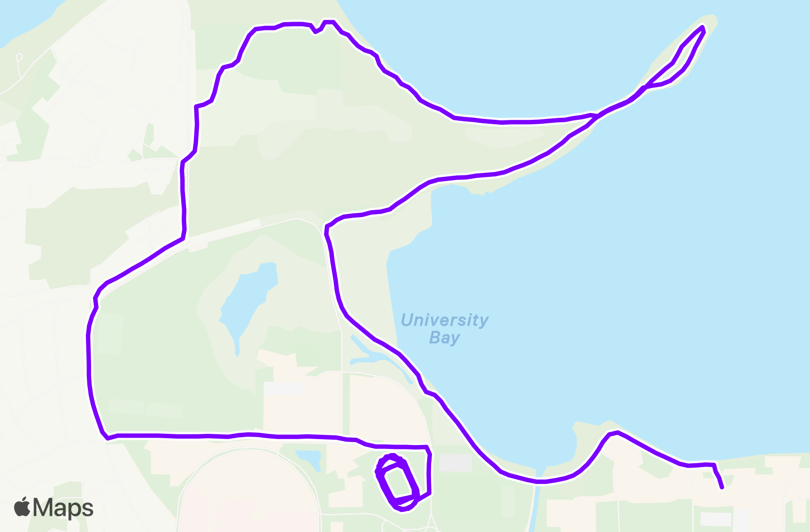 Run training