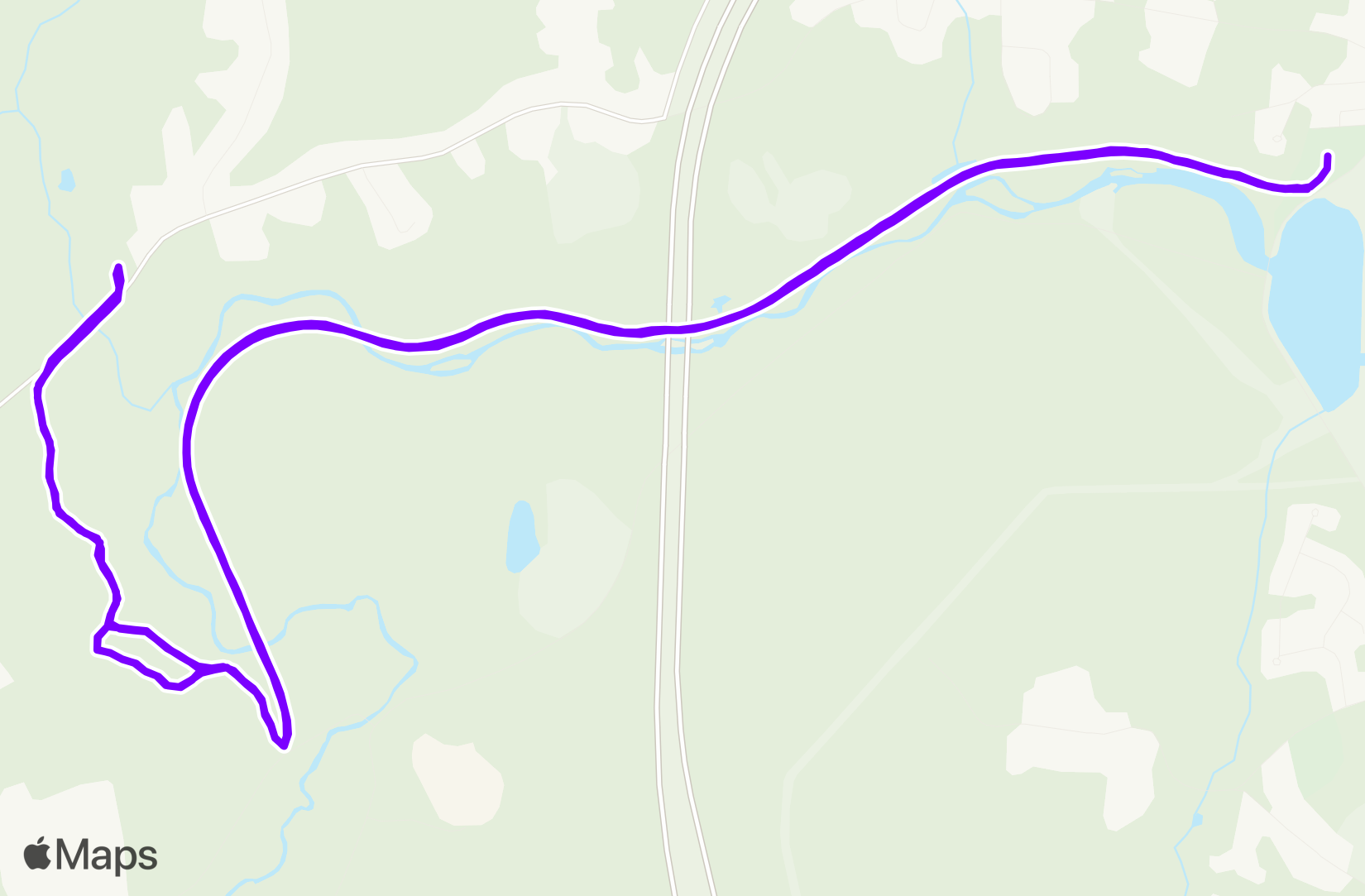 Run training
