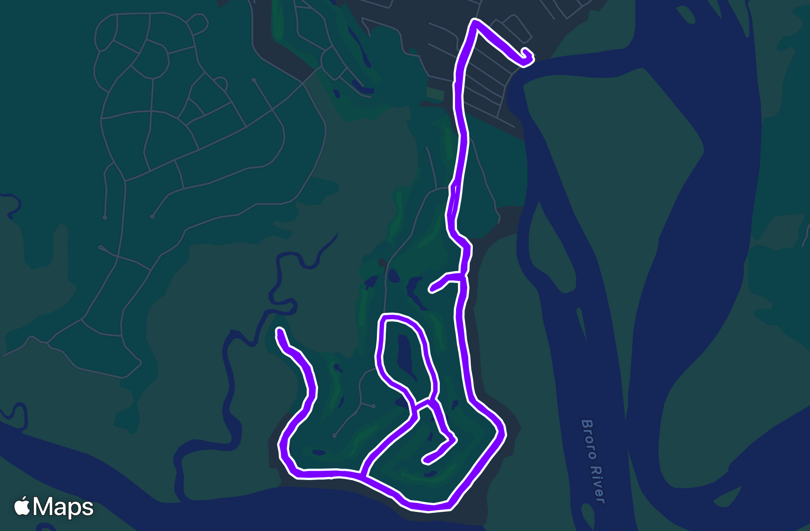 Run training