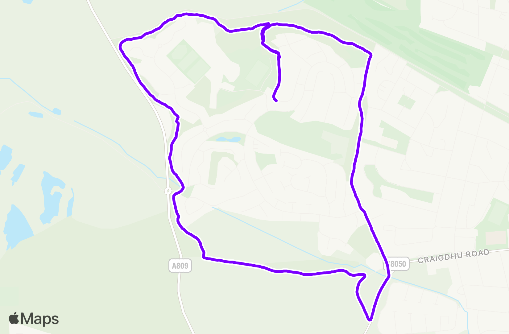 Run training