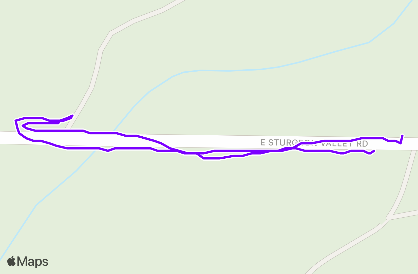 Run training