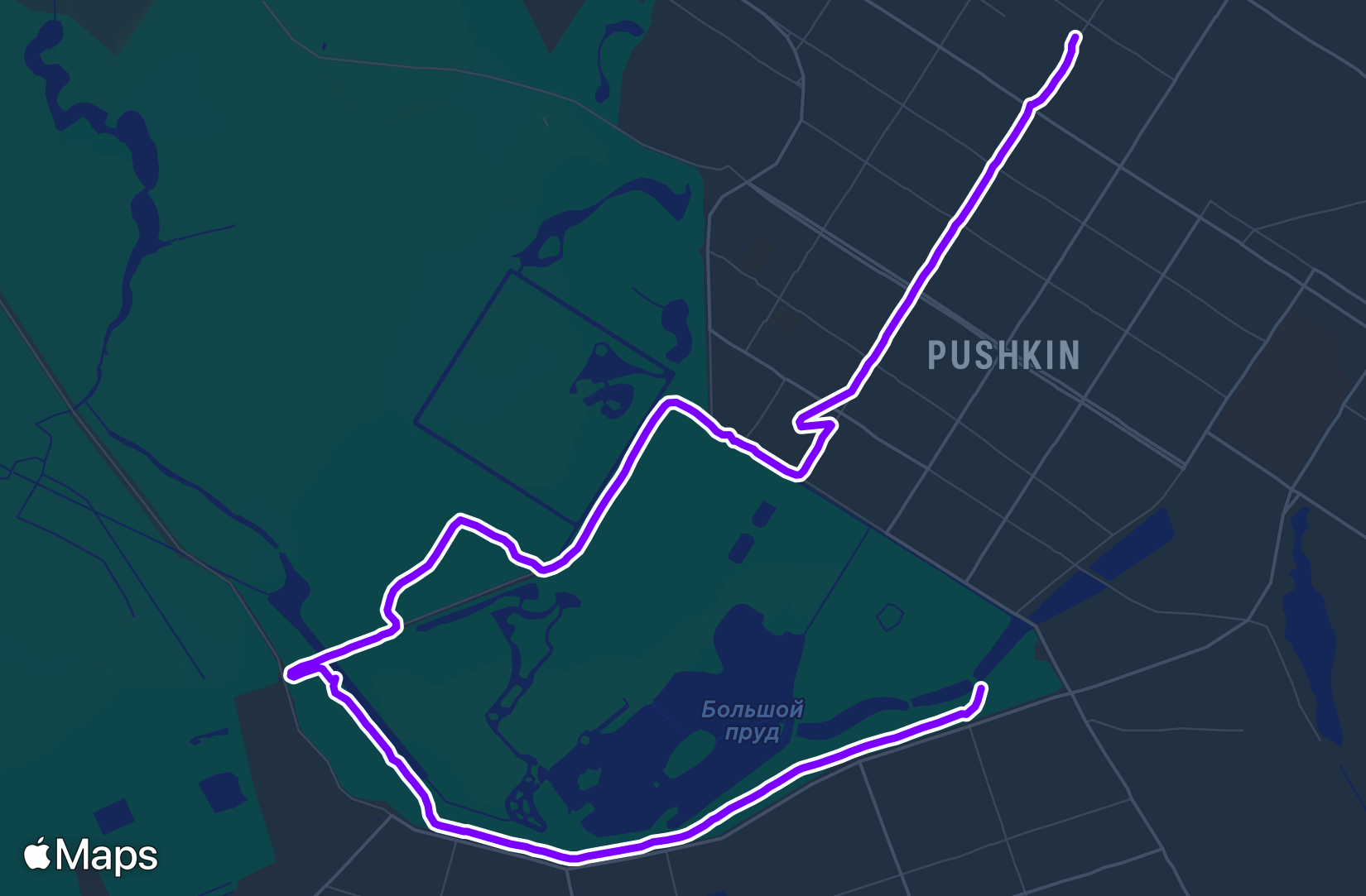 Run training