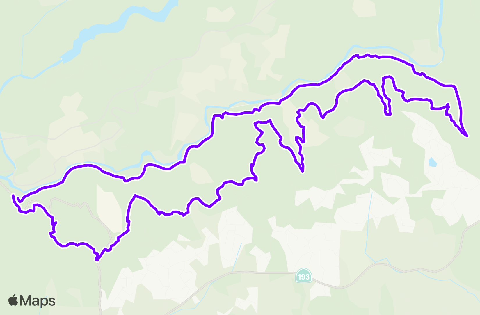 Run training