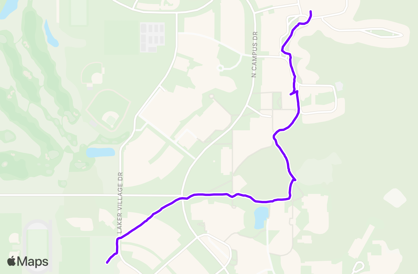 Walk training