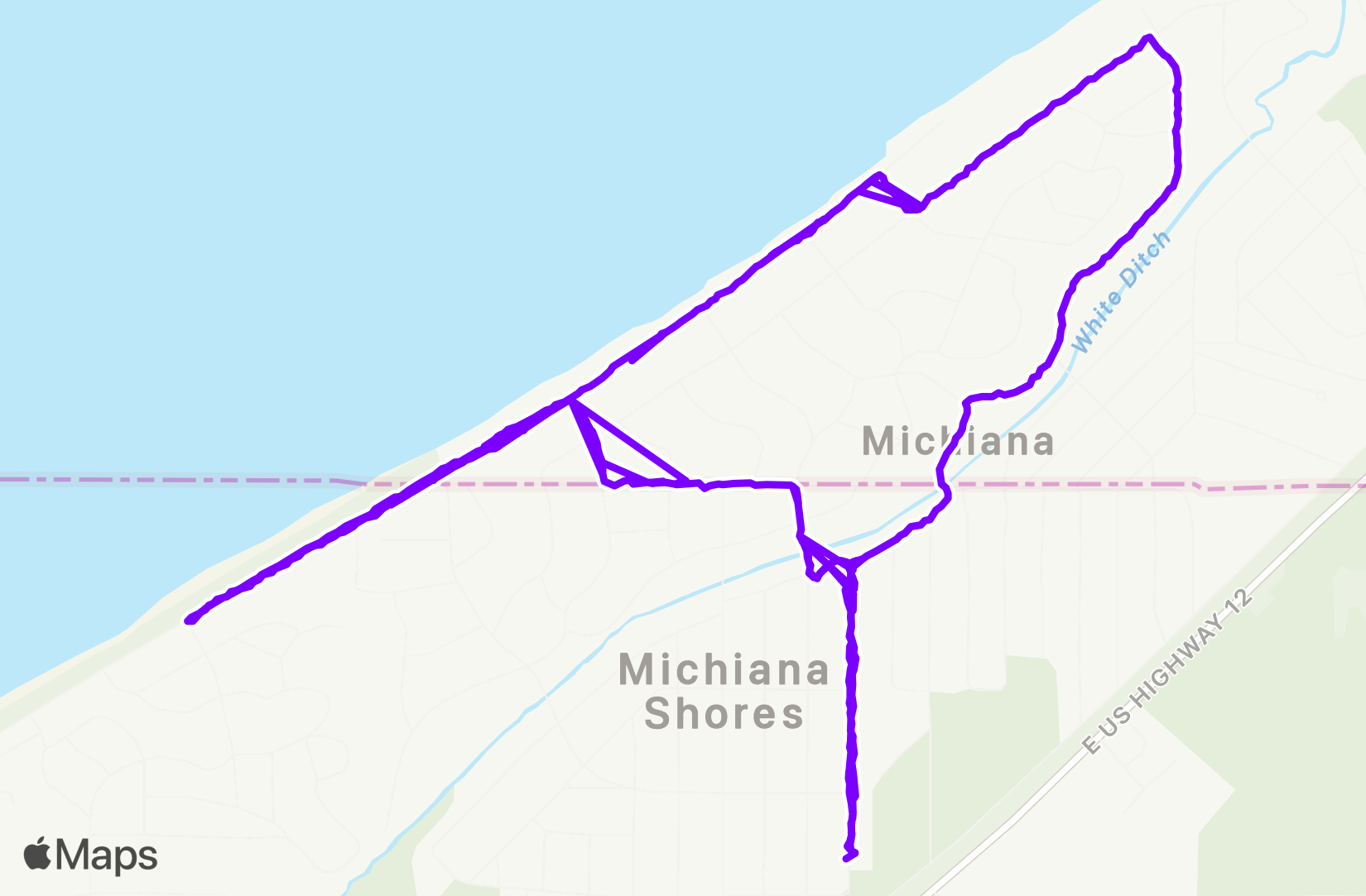 Walk training
