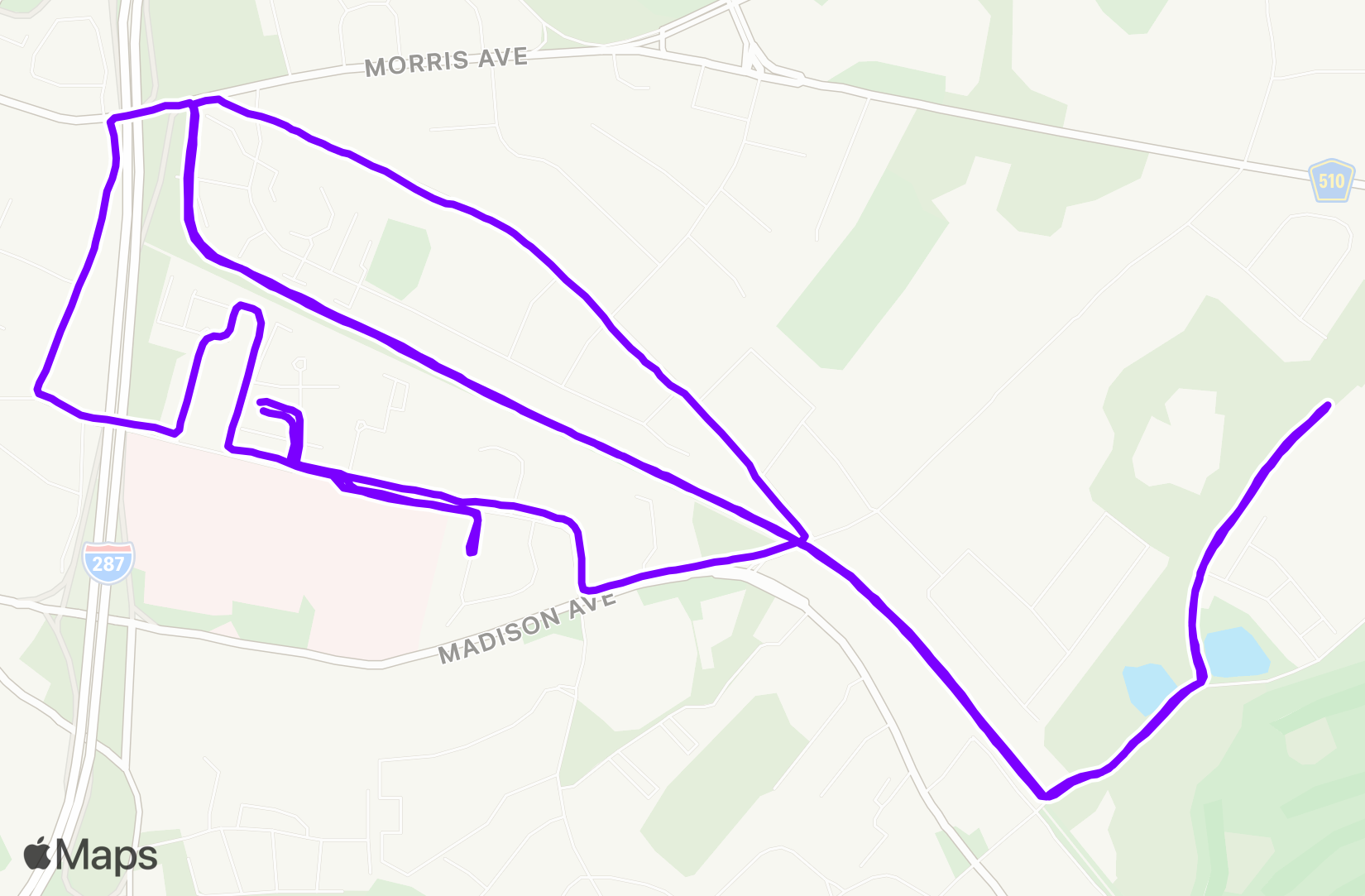Run training