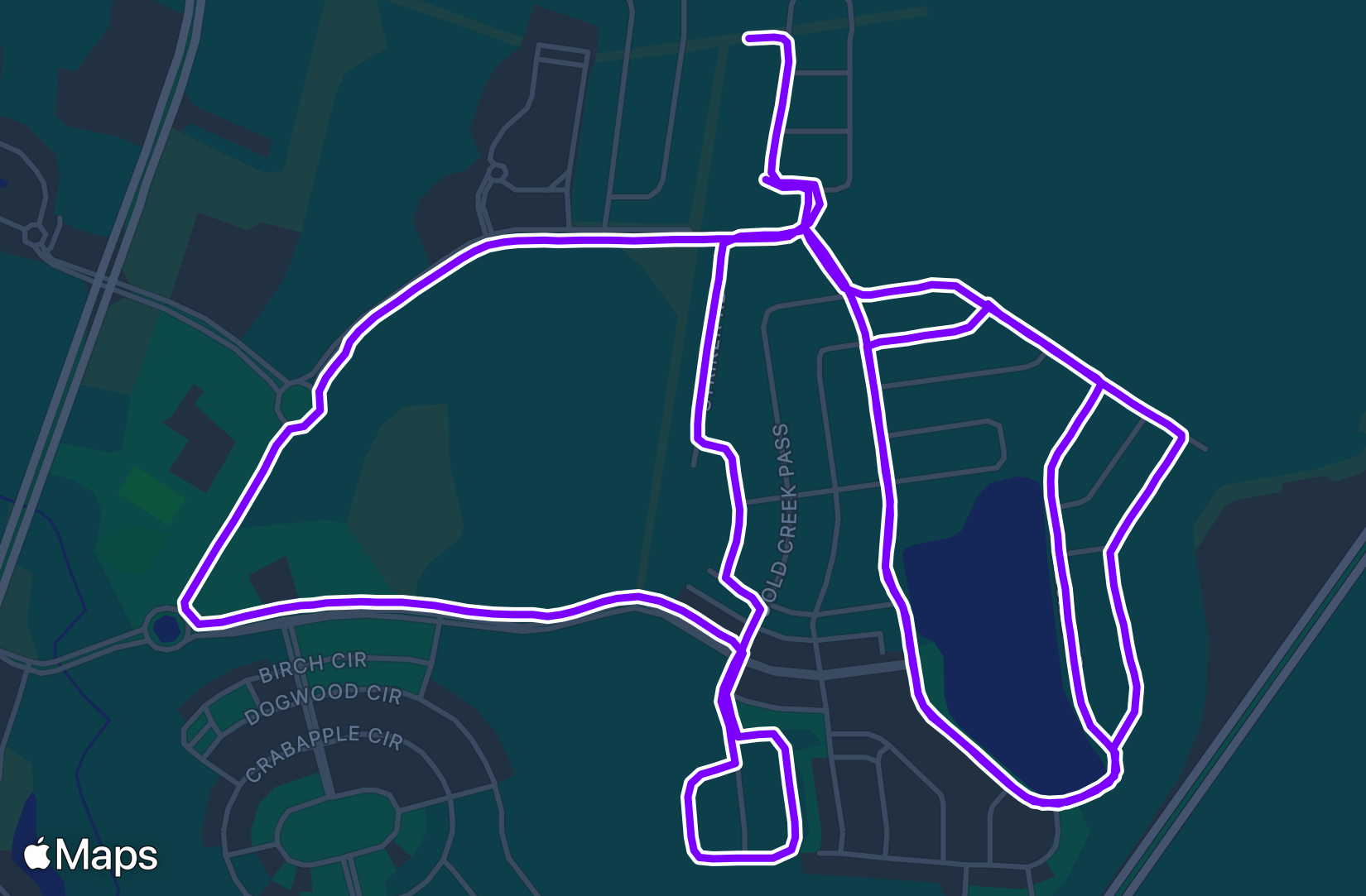 Run training