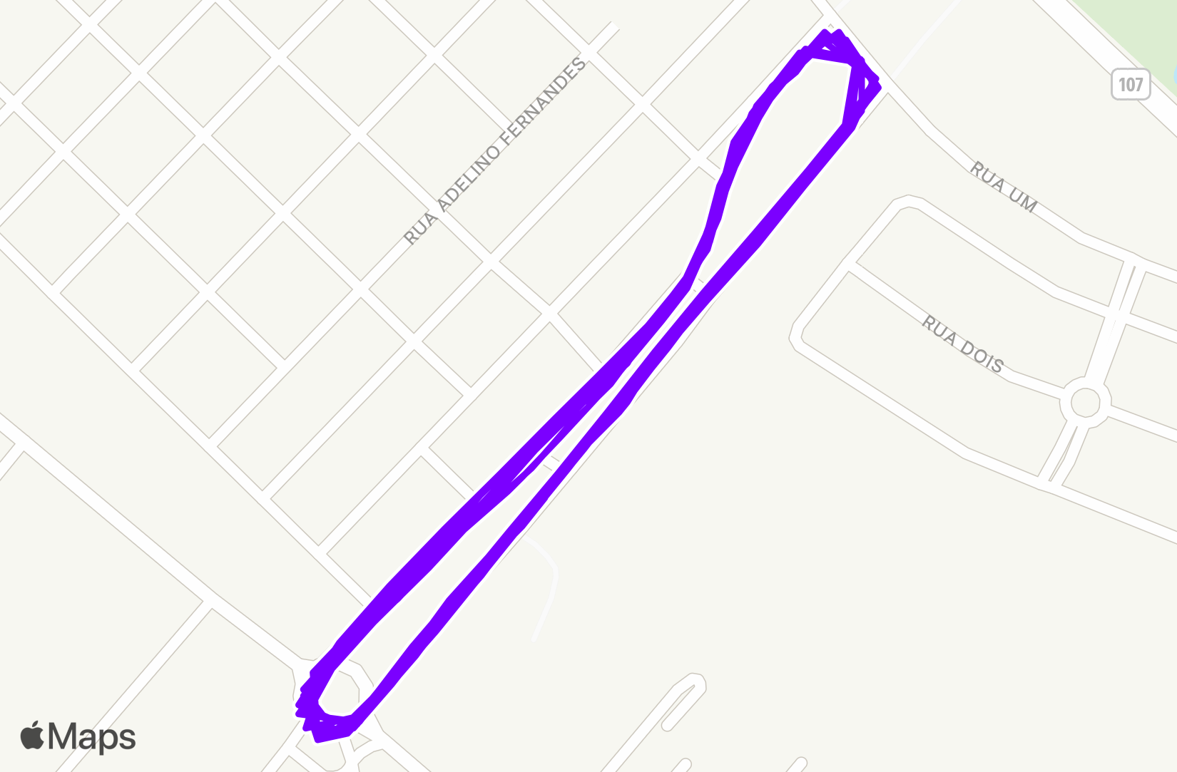 Run training