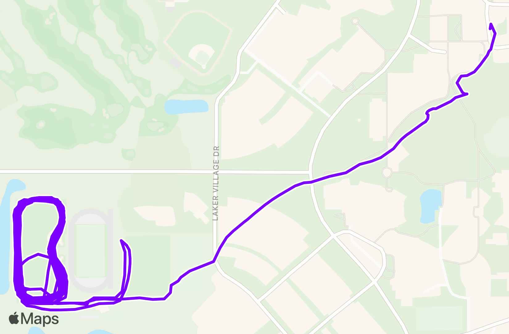 Run training