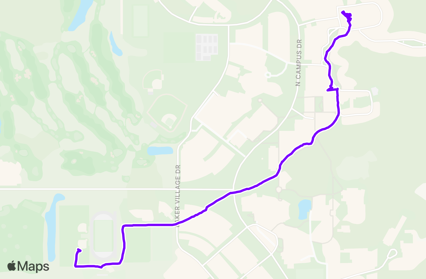 Walk training