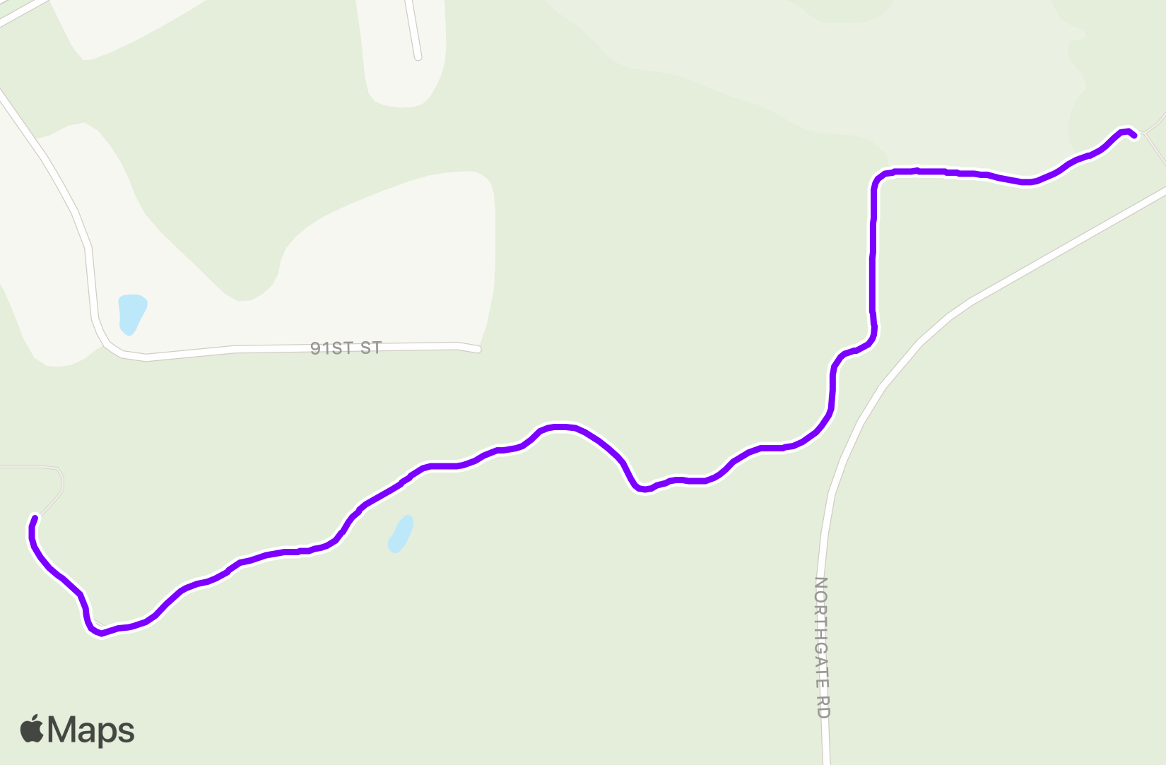 Run training
