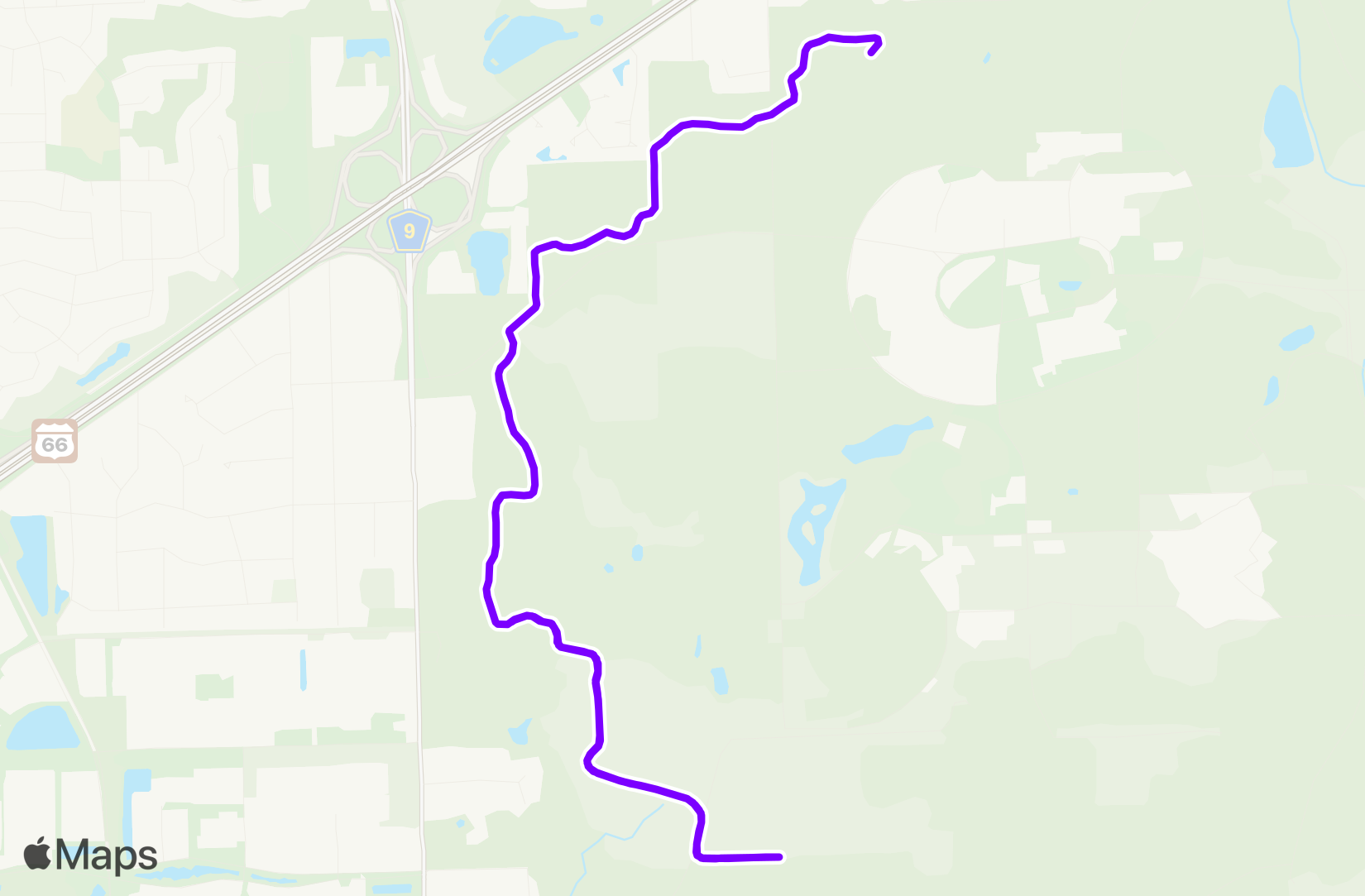 Run training