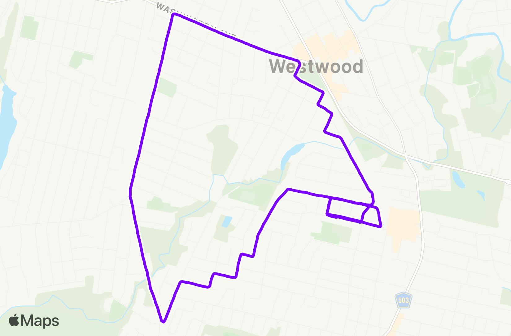 Run training
