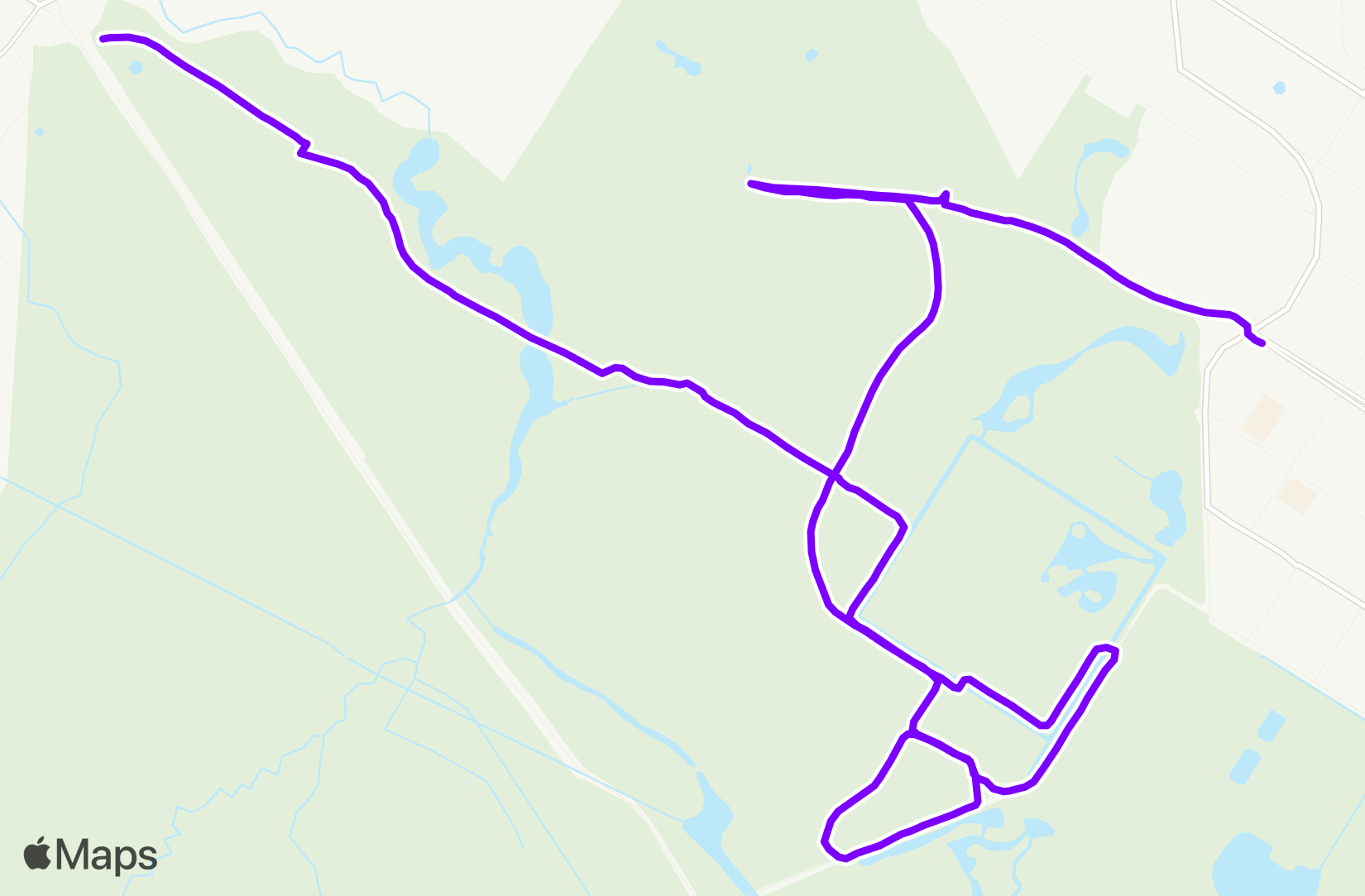 Run training