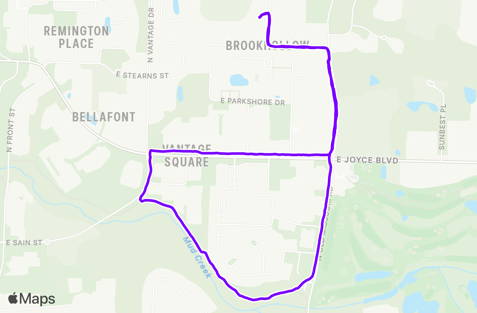 Walk training