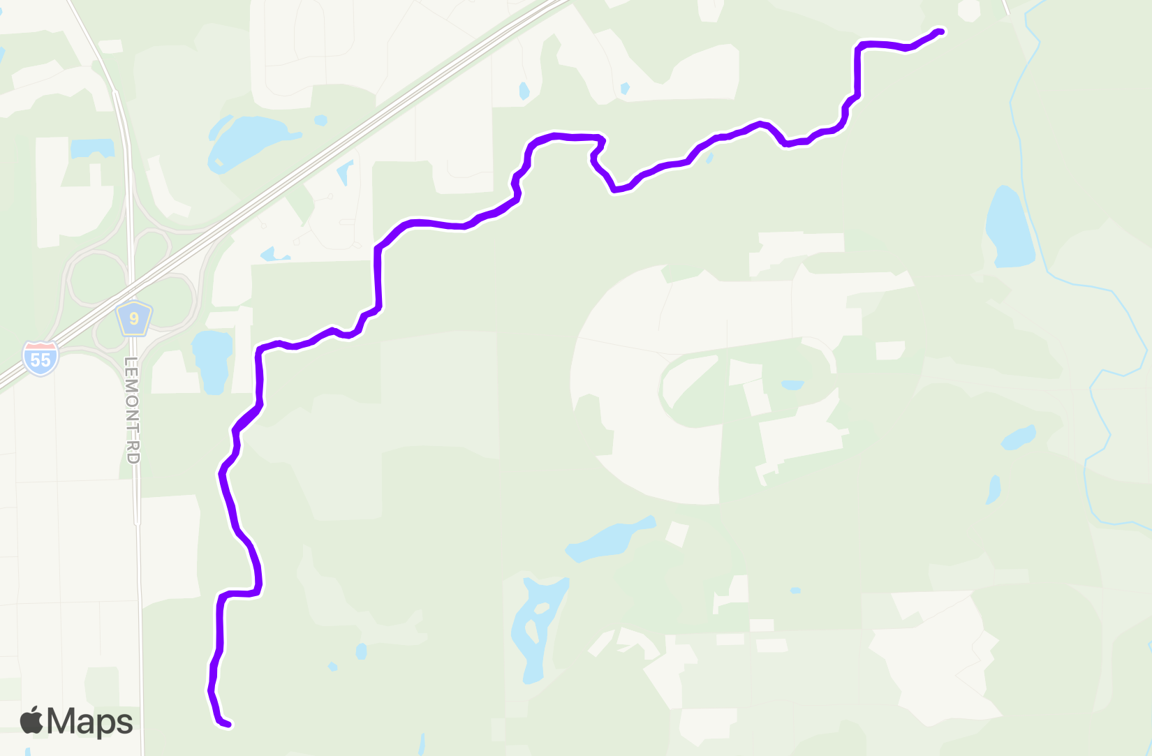 Run training