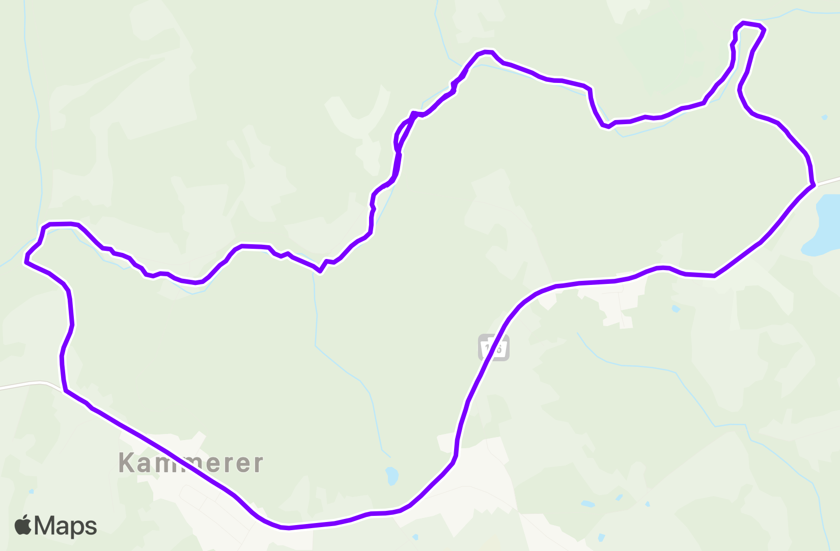 Run training