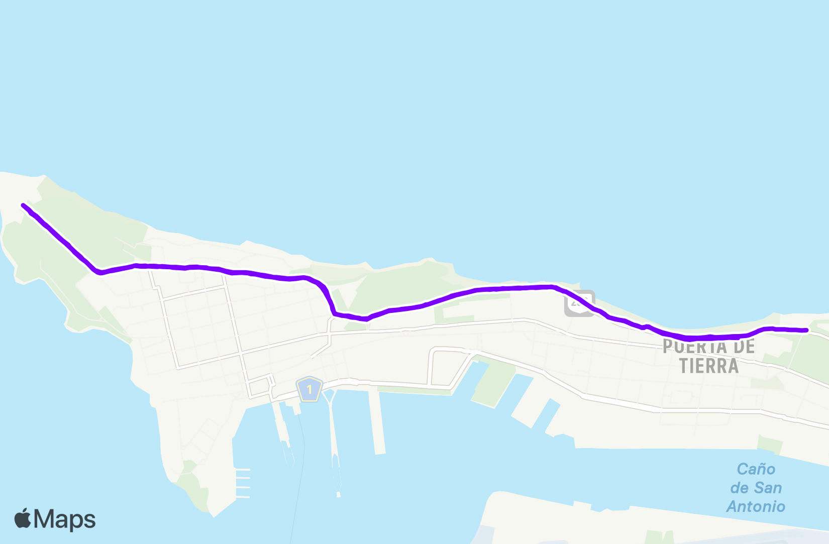 Run training