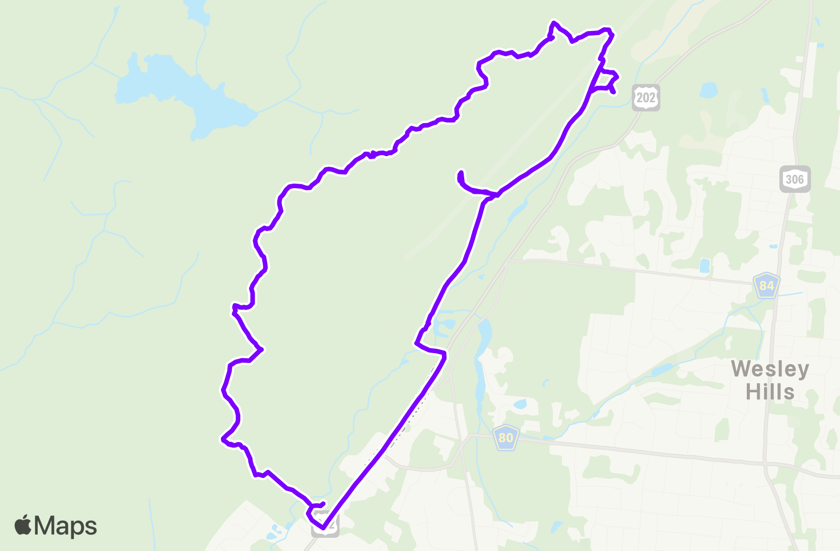 Run training