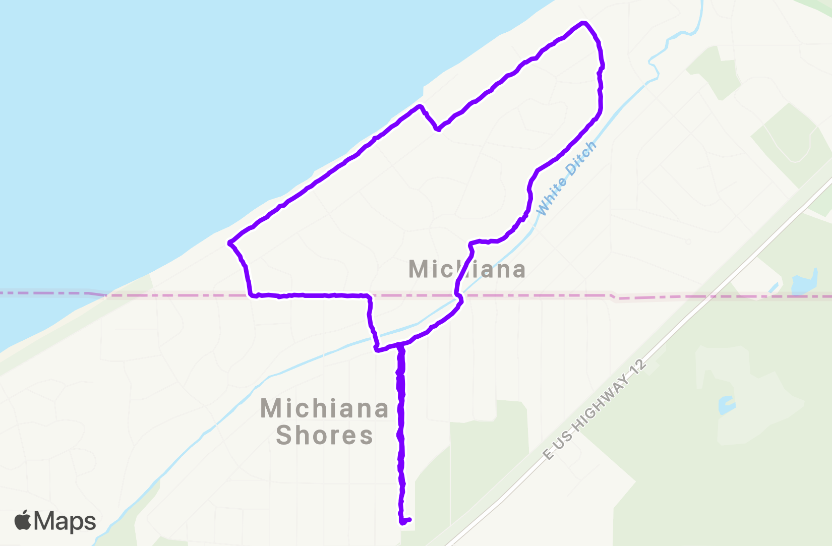 Walk training