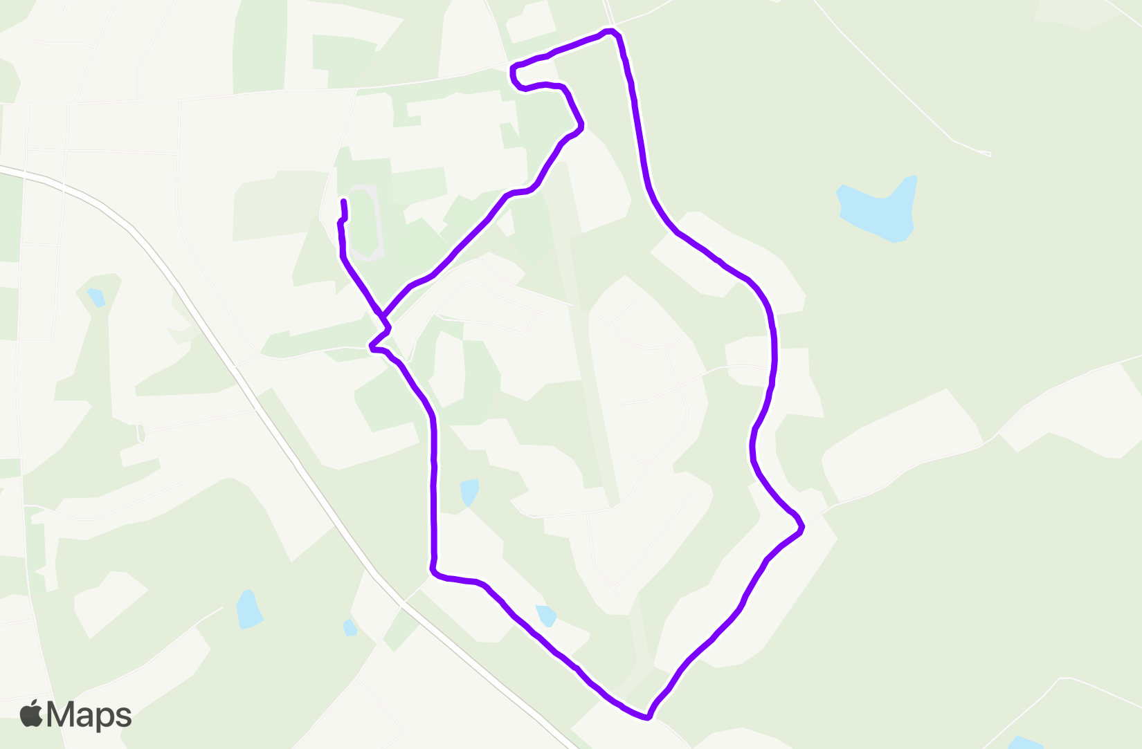 Run training