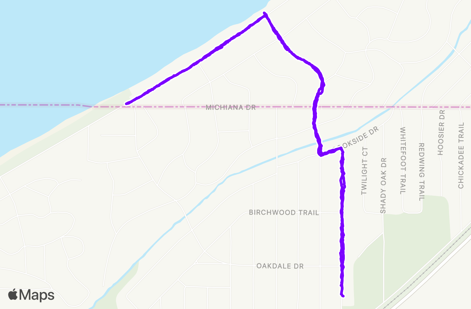 Walk training