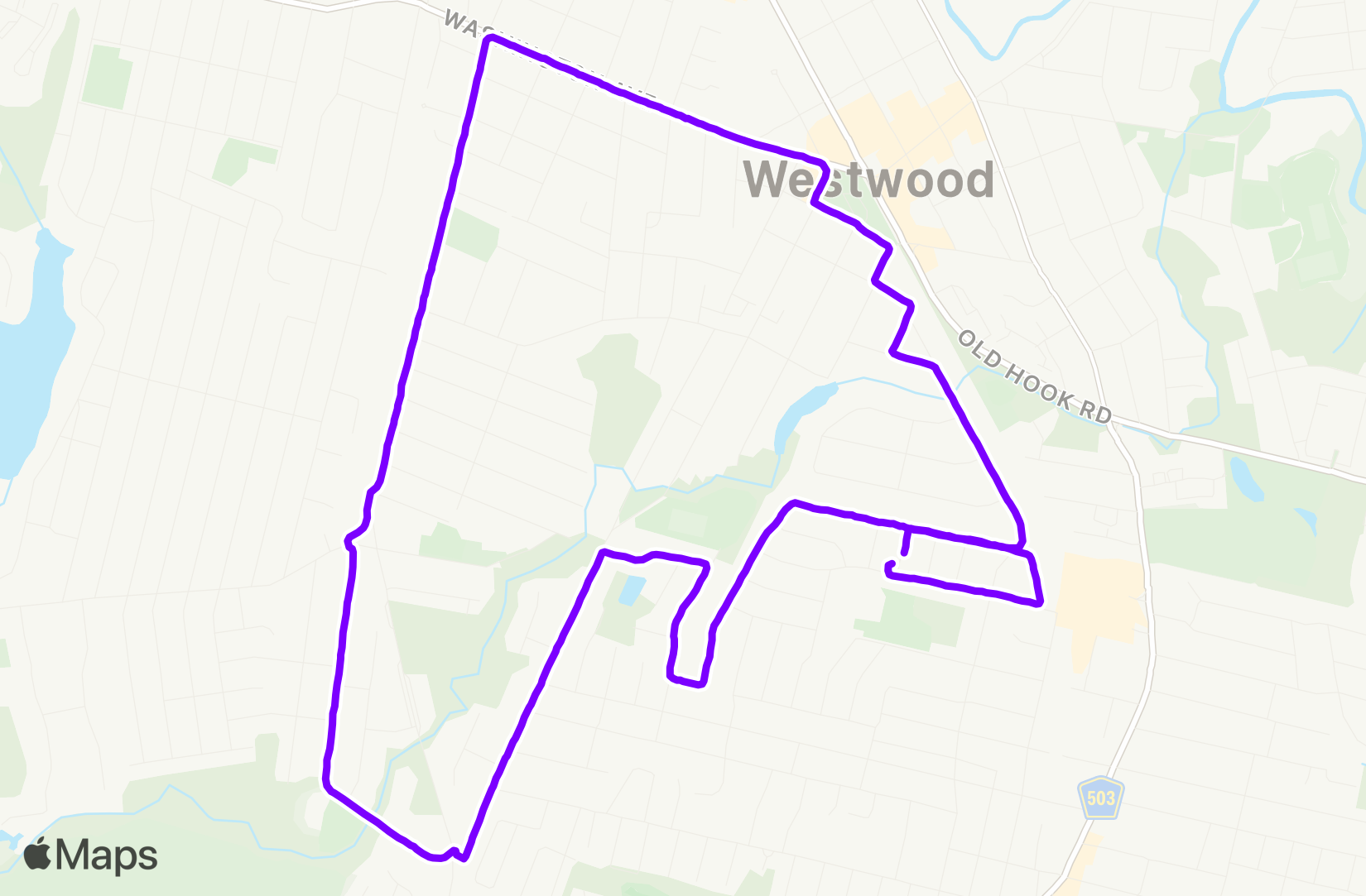 Run training