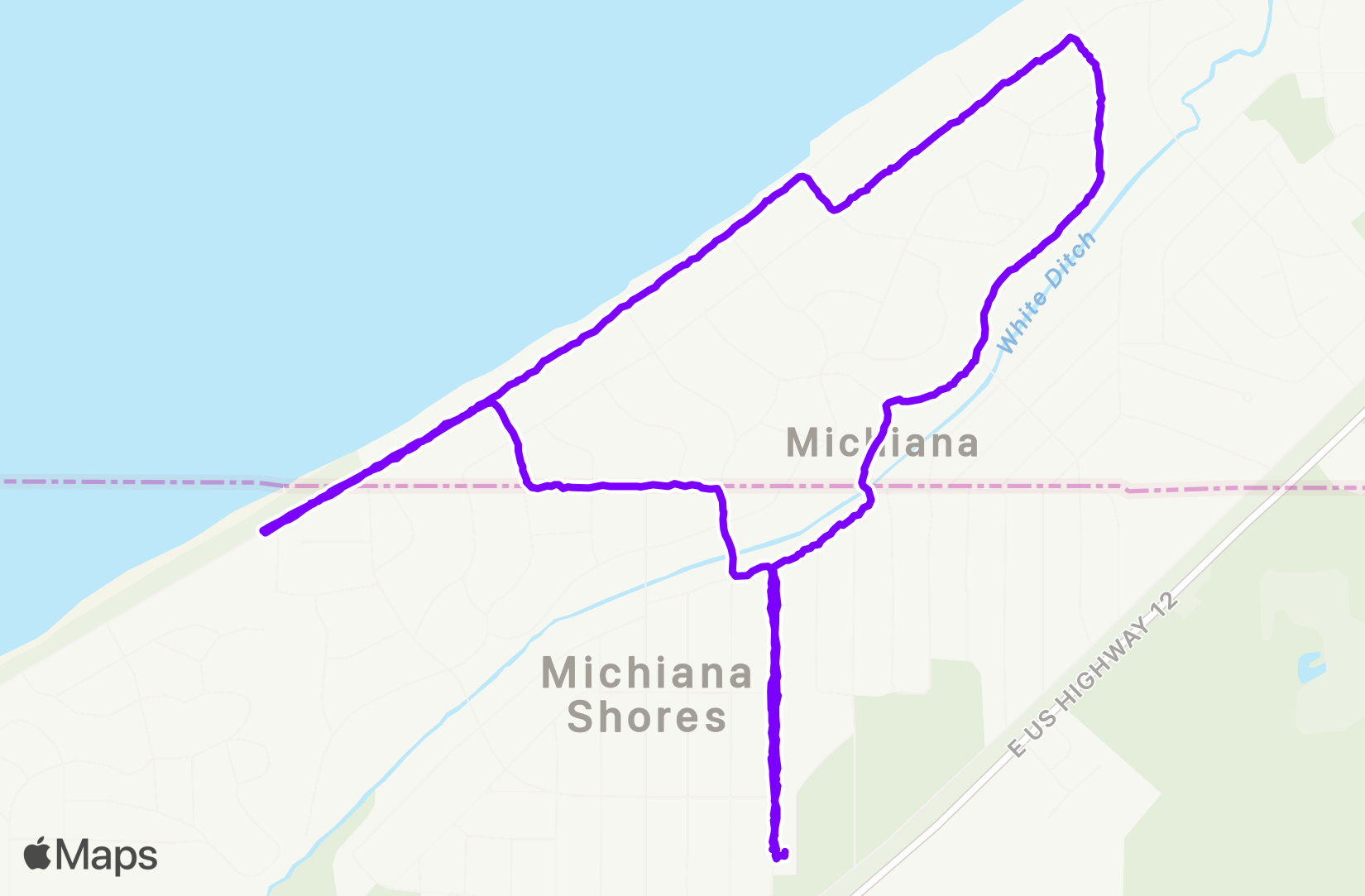 Walk training