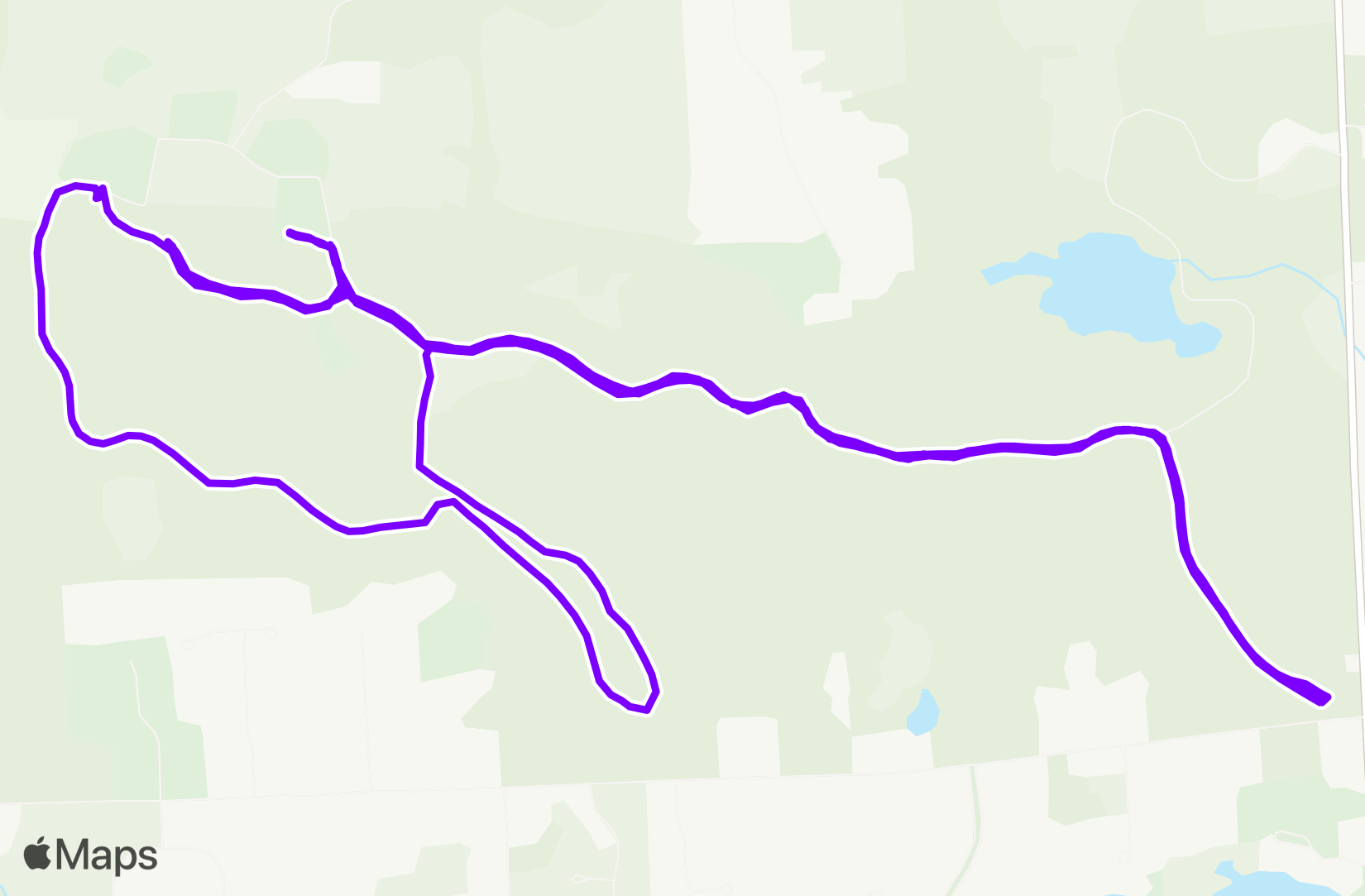 Run training