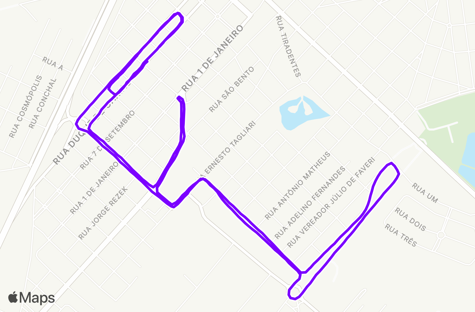 Run training