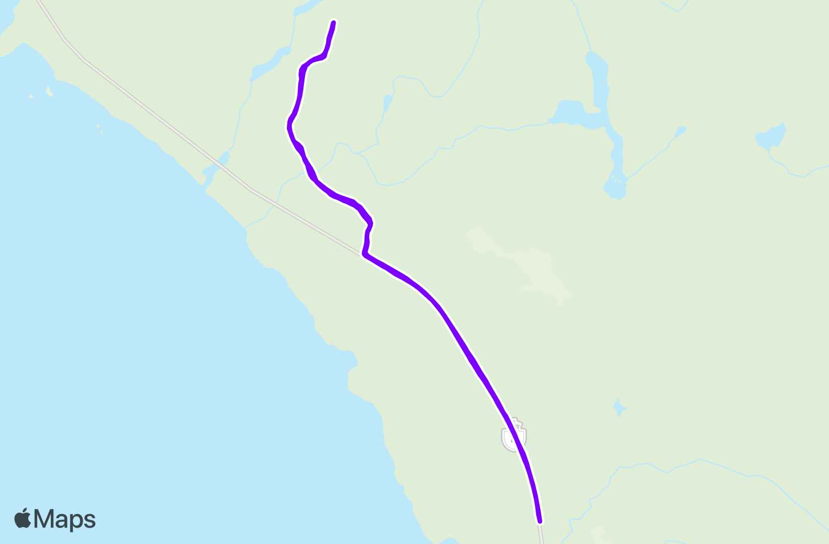 Run training