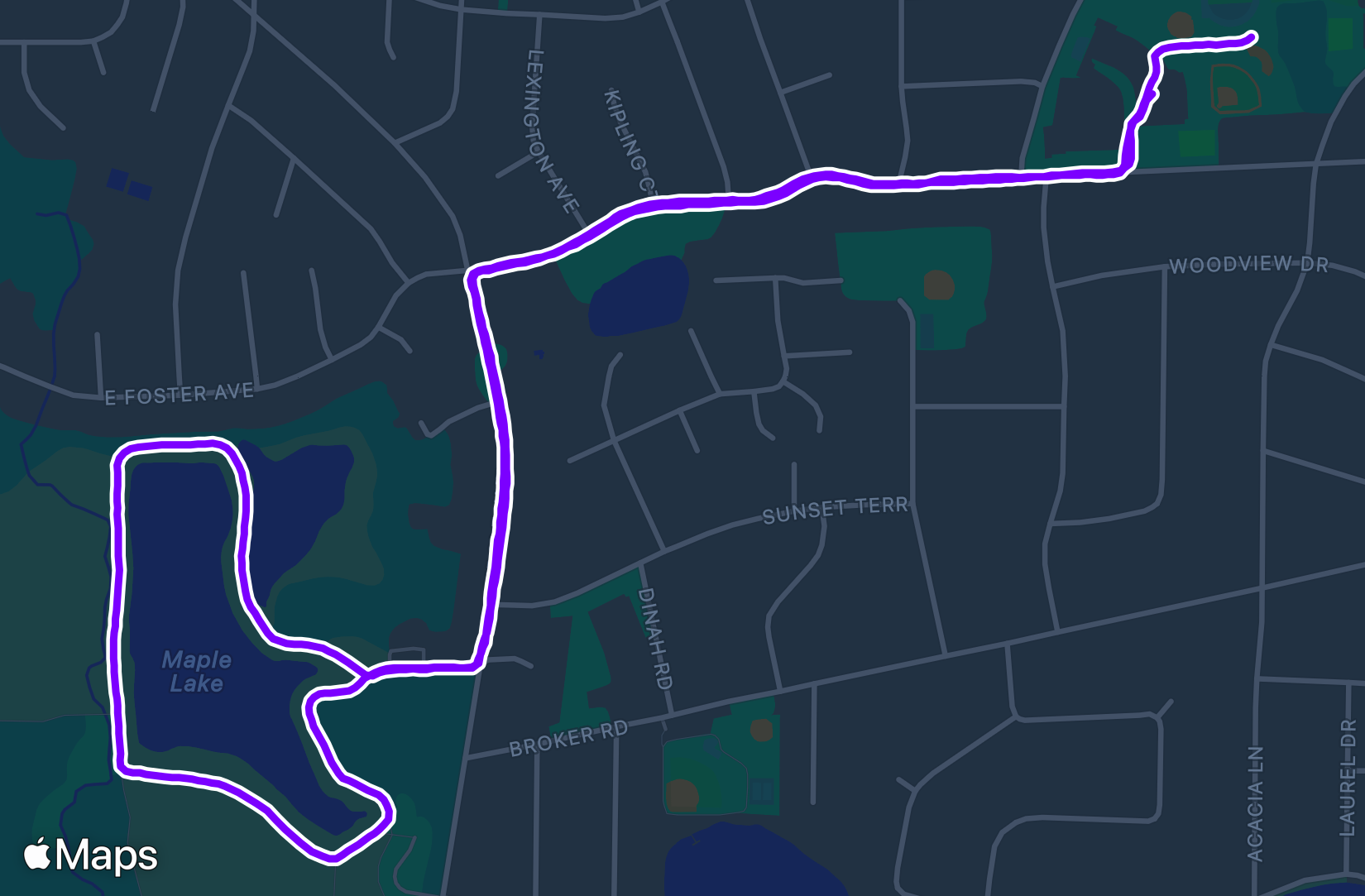 Run training