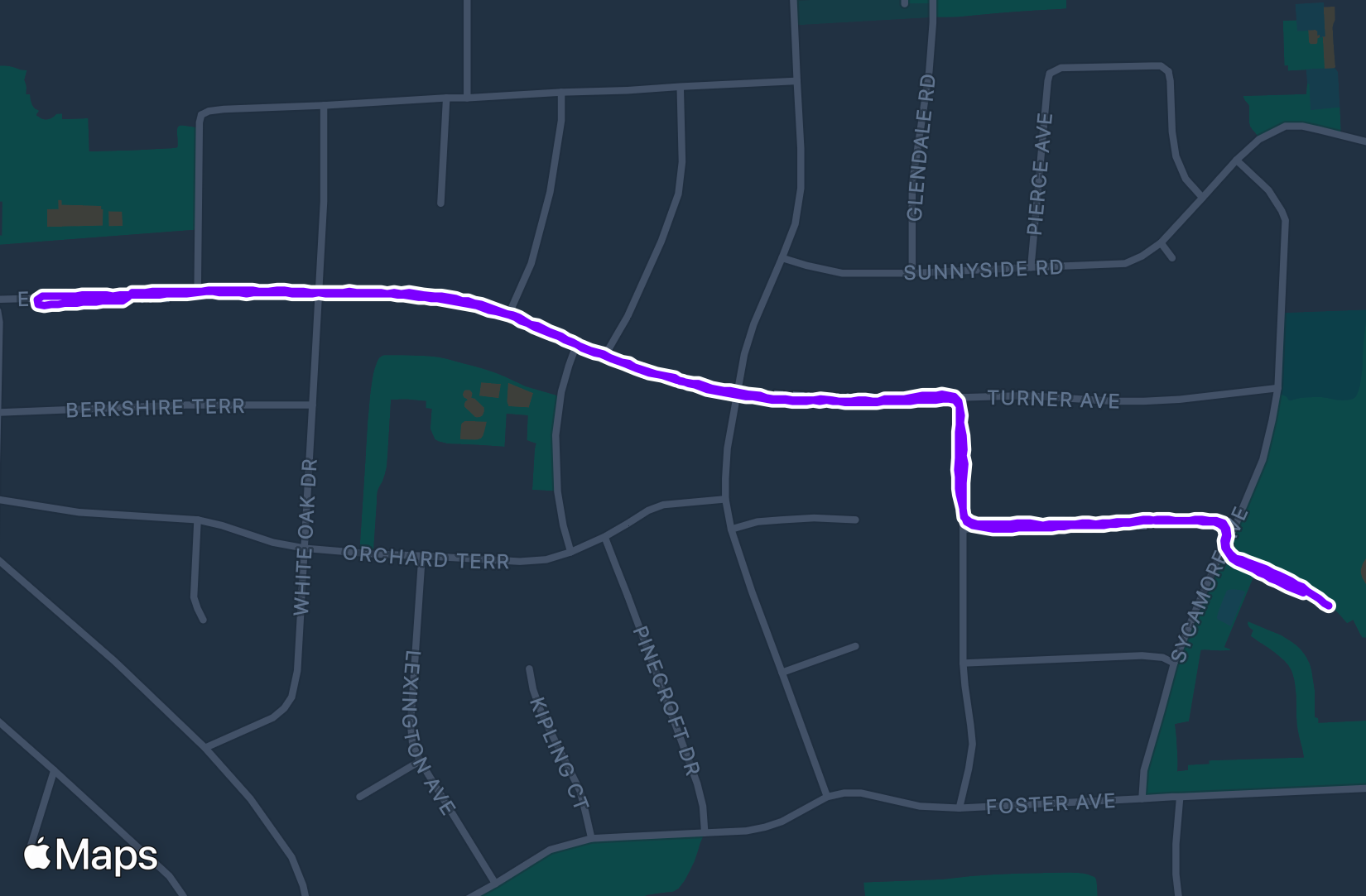 Run training