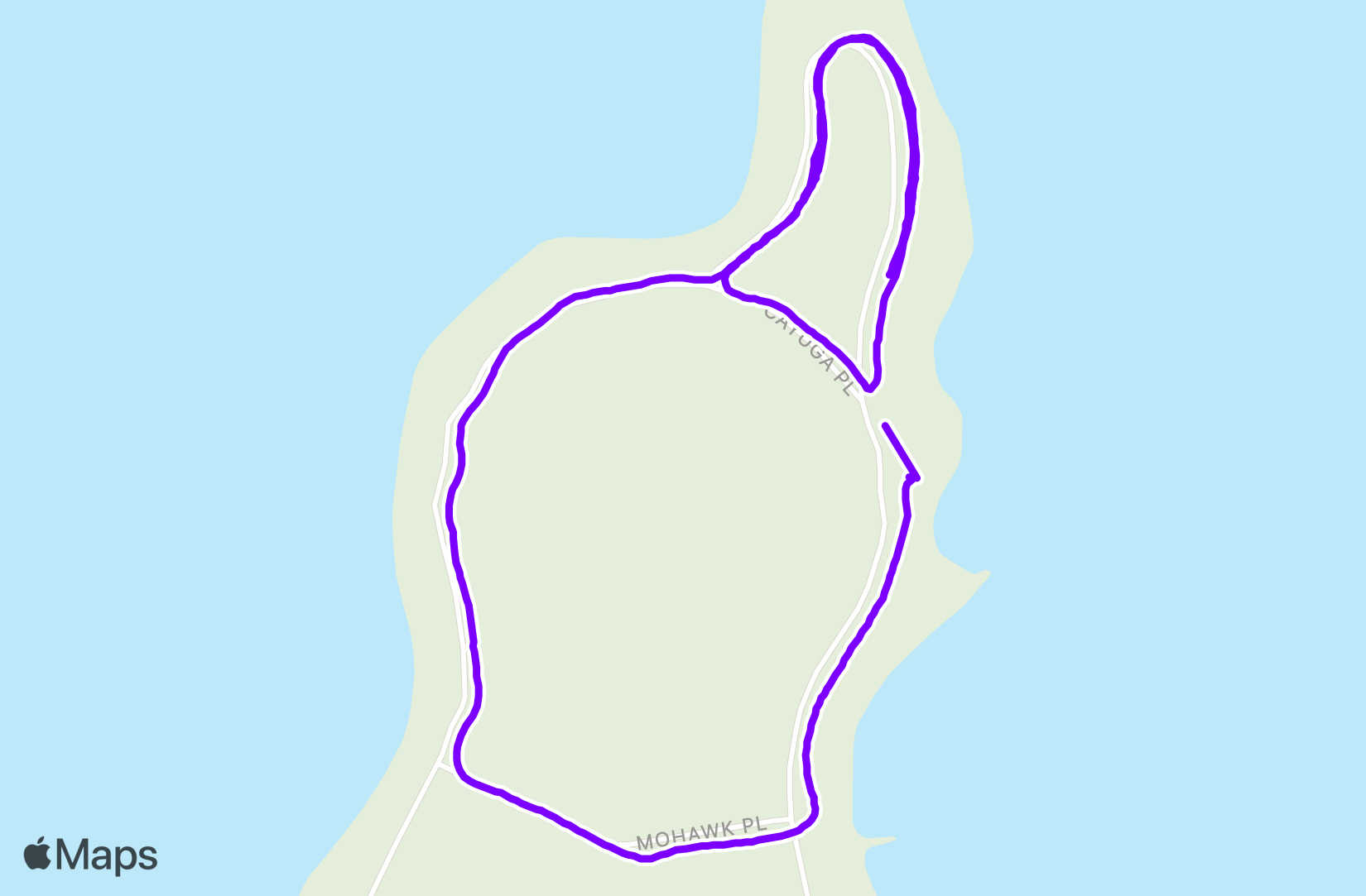 Run training