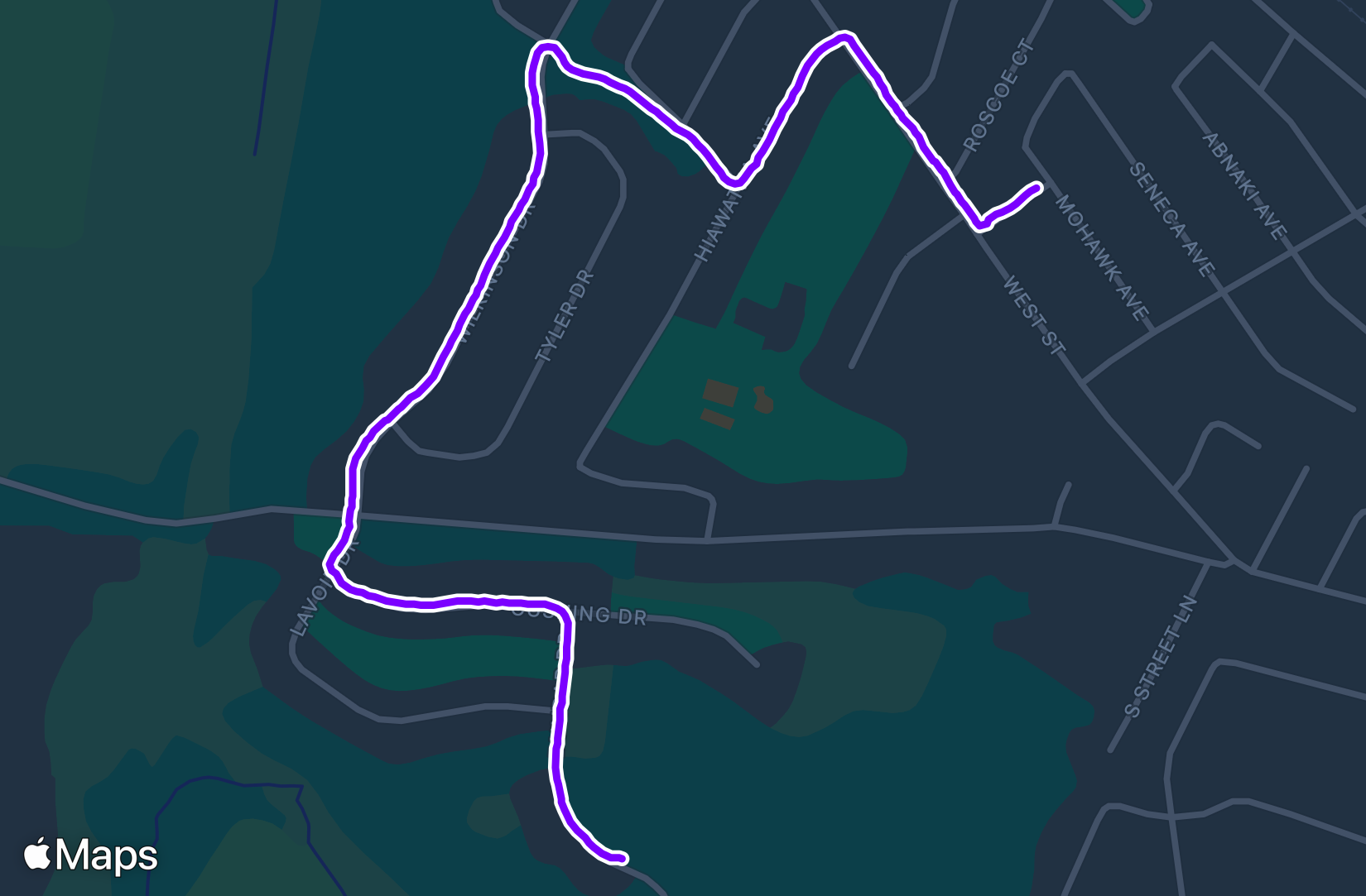 Run training