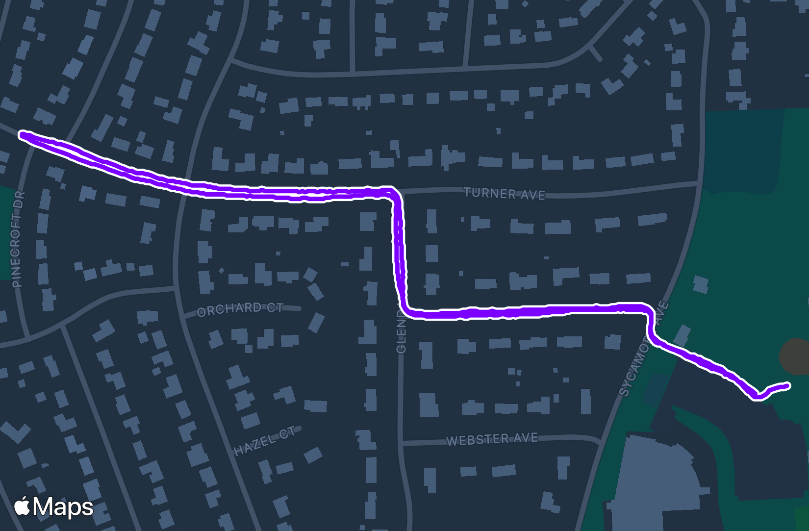 Run training
