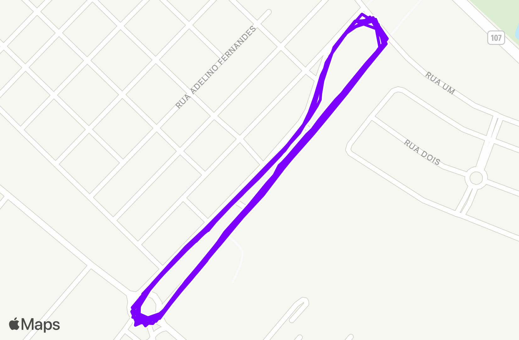 Run training